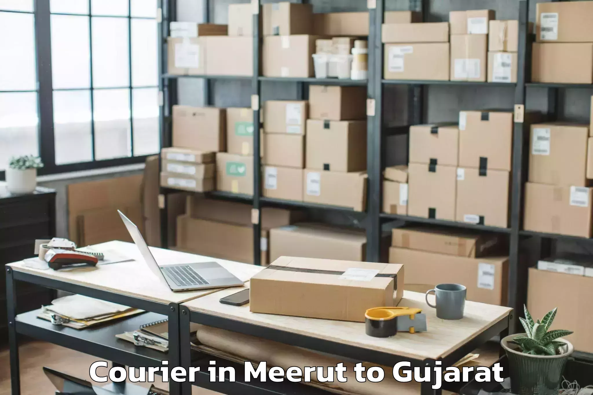 Trusted Meerut to Navrachana University Vadodara Courier